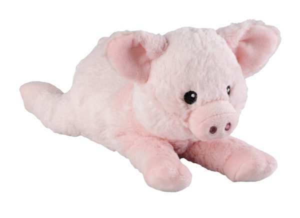 Mini varken