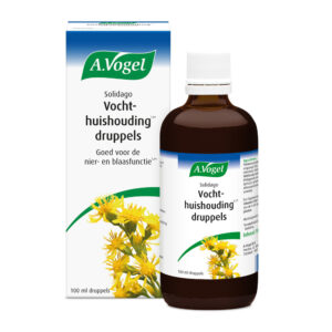 vogel solidago vochthuishoud 100m