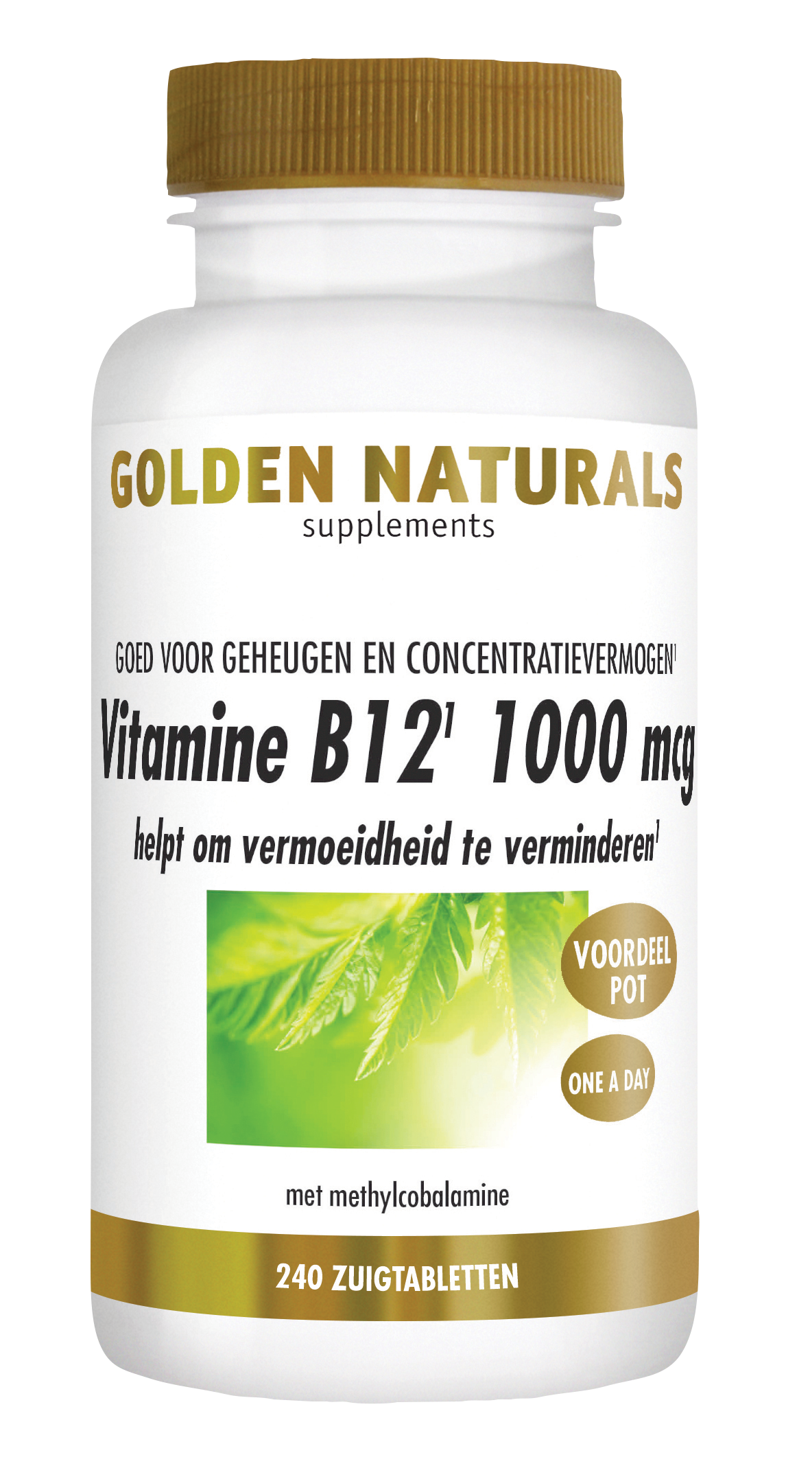 Franje radiator Ondraaglijk Golden Naturals Vitamine B12 1000 mcg