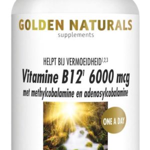 golden naturals vit b12 methyl 60zt